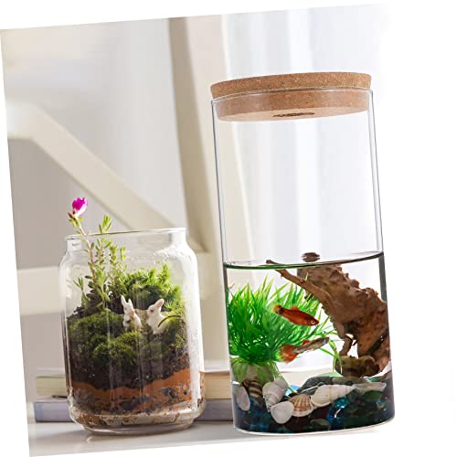 FONDOTIN Hochwertige DIY Sukkulenten Pflanzen Flasche aus Transparentem Borosilikatglas Runder Terrarium Glasbehälter für Moos und Ökosysteme Dekoration für Schreibtisch und Zimmer FONDOTIN Hochwertige DIY Sukkulenten Pflanzen Flasche aus Transparentem Borosilikatglas Runder Terrarium Glasbehälter für Moos und Ökosysteme Dekoration für Schreibtisch und Zimmer von FONDOTIN