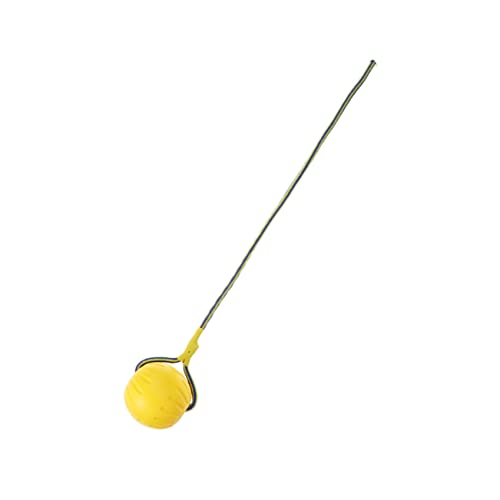 FONDOTIN Hohler Eva Ball Für Hunde Werfer Hundewerfer Seilball Hundespielzeug Welpen Interaktiver Hundeball Spielzeugwerfer Für Hunde Interaktives Lernspielzeug Haustierstock Interaktives FONDOTIN Hohler Eva Ball Für Hunde Werfer Hundewerfer Seilball Hundespielzeug Welpen Interaktiver Hundeball Spielzeugwerfer Für Hunde Interaktives Lernspielzeug Haustierstock Interaktives von FONDOTIN
