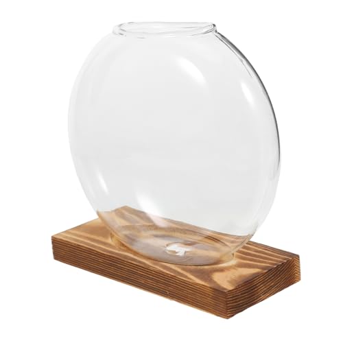 FONDOTIN Hydroponische Glasvase mit Holzbasis Kleine Pflanzenvase für Innenräume Design für Dekoration Büro oder Restaurant Terrarium für Pflanzenpflege FONDOTIN Hydroponische Glasvase mit Holzbasis Kleine Pflanzenvase für Innenräume Design für Dekoration Büro oder Restaurant Terrarium für Pflanzenpflege von FONDOTIN