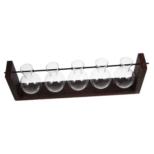 FONDOTIN Hydroponische Vase Halter Einzel Dekoration Topf Für Pflanzen Im Innenbereich Hängend Pflanzen Stehen Innen Montiert Künstlich Großer Pflanzentopf Outdoor- Wand Anlage Holz von FONDOTIN