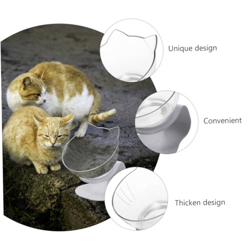 FONDOTIN Katzenfutternapf aus Transparentem Kunststoff mit Neigung und Nackenschutz Schlichte Pflegeleichte Schale zur Futter Wassergabe für Katzen und Kätzchen rutschfest und Kippsicher von FONDOTIN
