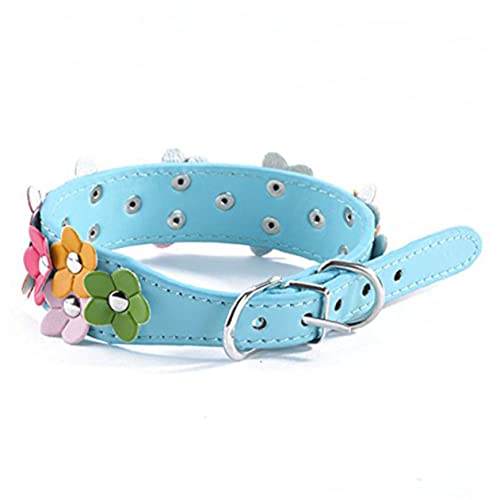 FONDOTIN Verstellbares Haustierhalsband Größe M Hundehalsband Legierungsschnalle Sicherheitsfunktionen FONDOTIN Verstellbares Haustierhalsband Größe M Hundehalsband Legierungsschnalle Sicherheitsfunktionen von FONDOTIN