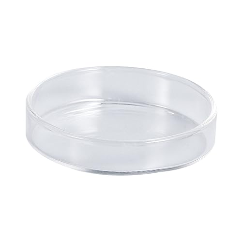 FONDOTIN Garnelenschale Aus Kristallglas – Servierschüssel Aus Glas Für Fische Und Reptilien Kleiner Runder Futterspender Für Aquarien FONDOTIN Garnelenschale Aus Kristallglas – Servierschüssel Aus Glas Für Fische Und Reptilien Kleiner Runder Futterspender Für Aquarien von FONDOTIN