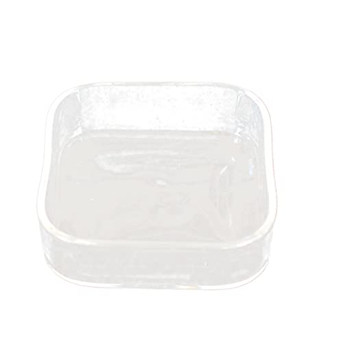 FONDOTIN Kleiner Futternapf Eidechsen Wasser Schüssel Schildkrötenfutter Zubehör für Reptilien small Animal Food Glasfutterbehälter schleichtiere Reptiliennapf Futterautomat für Haustiere von FONDOTIN