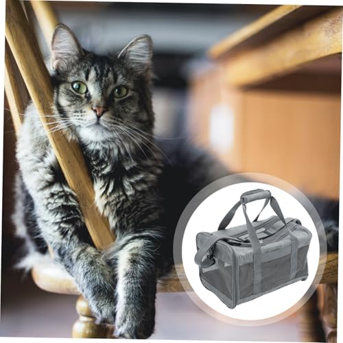 FONDOTIN Kompakte Atmungsaktive Haustier Tragetasche mit Robustem Mesh Geräumigem Innenraum und Mehreren Taschen für Kleinen Hund und Katze Faltbar und Wasserabweisend für Reisen und FONDOTIN Kompakte Atmungsaktive Haustier Tragetasche mit Robustem Mesh Geräumigem Innenraum und Mehreren Taschen für Kleinen Hund und Katze Faltbar und Wasserabweisend für Reisen und von FONDOTIN