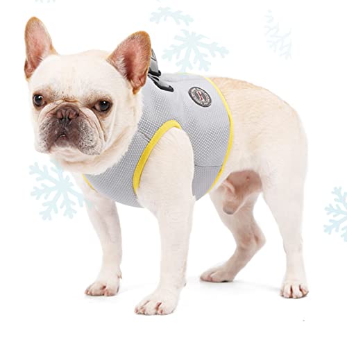FONDOTIN Kühljacke für Haustiere Kühlweste für Hunde Kühlweste für Haustiere Kühlweste für Hunde Kühljacke S FONDOTIN Kühljacke für Haustiere Kühlweste für Hunde Kühlweste für Haustiere Kühlweste für Hunde Kühljacke S von FONDOTIN