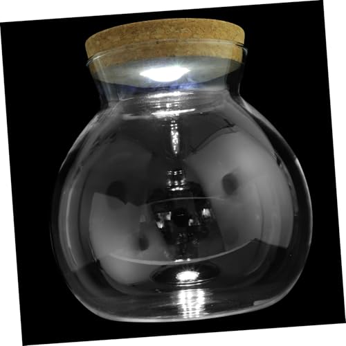 FONDOTIN LED Glasflasche für Mikrolandschaften mit Weißem LED Licht Transparenter Ökologischer Flaschengarten Dekoratives DIY Aquarium für Pflanzen Fische und Moos Glatte Oberfläche Einfach von FONDOTIN