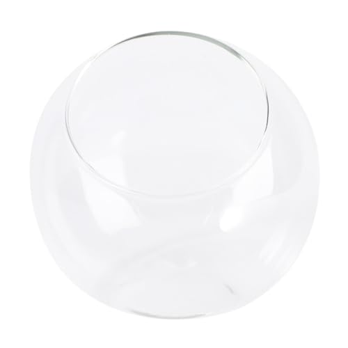 FONDOTIN Landschaft Glasflasche Ø Kleines Terrarium Gefäß Einfache Ökologische Flaschenglas Dekoration für DIY Mikro Landschaften Wohn und Bürodekoration FONDOTIN Landschaft Glasflasche Ø Kleines Terrarium Gefäß Einfache Ökologische Flaschenglas Dekoration für DIY Mikro Landschaften Wohn und Bürodekoration von FONDOTIN