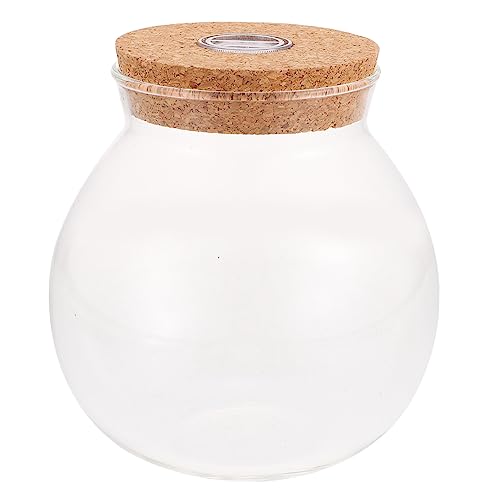 FONDOTIN Micro Landscape DIY Flasche mit LED Licht Terrarium für Moos und Pflanzenlandschaften für Dekorative Raumgestaltung und Vielseitige Verwendung FONDOTIN Micro Landscape DIY Flasche mit LED Licht Terrarium für Moos und Pflanzenlandschaften für Dekorative Raumgestaltung und Vielseitige Verwendung von FONDOTIN