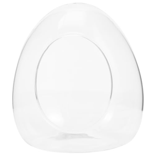 FONDOTIN Mikro-Landschaftsflasche Easy putz Glasflasche für Mikrolandschaft DIY Pflanzenflasche Bewässerung Wasser Nebel Anlage Landschaftsbehälter Moos ökologische Flasche Transparent von FONDOTIN