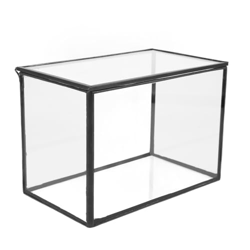 FONDOTIN Mikrolandschaftsgewächshaus Pflanzenetui Micro-landschaftshalter Moos Landschaft Container Saftiges Terrarium Pflanzenterrarium Kleines Terrarium DIY-Terrarium Glas Transparent von FONDOTIN