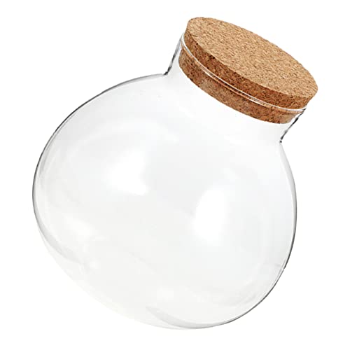 FONDOTIN Mini Landschaftsflasche Knospen Licht Wasser Mikro Landschaftsflasche Makramee Aufhänger Töpfe Pflanzen Pflanzgefäße Kugelförmiges Getränk Geschlossenes Terrarium Tank von FONDOTIN