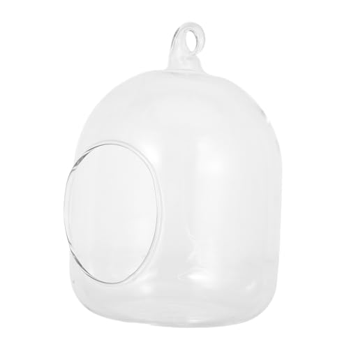 FONDOTIN Mini Terrarium für Pflanzen Moos Mikrolandschaftsfläschchen Pflegeleicht Tragbar für Büro Schlafzimmer und Kleine Räume Stilvolle Tischdeko von FONDOTIN