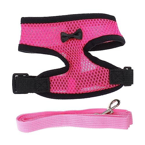 FONDOTIN Outdoor Hühnergeschirr mit Leine Verstellbares Atmungsaktives Design für Hühner Enten und Gänse Trainingsgeschirr für Haustiere Bequem und Strapazierfähig für Outdoor Aktivitäten von FONDOTIN