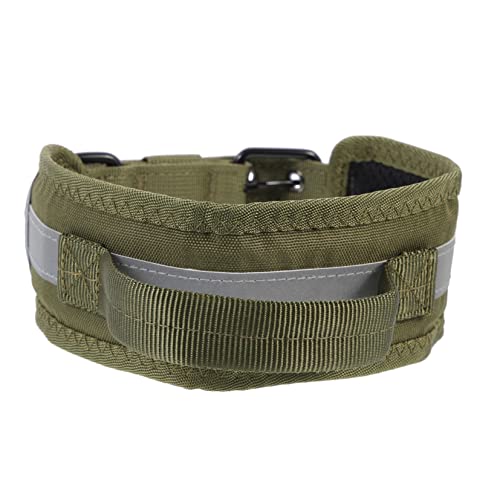 FONDOTIN Erziehungshalsband Hund Reflektierendes Hundehalsband Für Mittelgroße Und Große Hunde Verstellbares Nylonhalsband Militärgrün Ideales Accessoire Für Training Und Partys Sicher Und Langlebig FONDOTIN Erziehungshalsband Hund Reflektierendes Hundehalsband Für Mittelgroße Und Große Hunde Verstellbares Nylonhalsband Militärgrün Ideales Accessoire Für Training Und Partys Sicher Und Langlebig von FONDOTIN