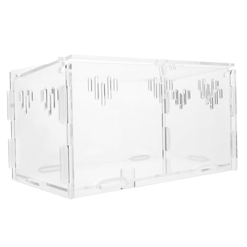 FONDOTIN Reptilien Futterbox Aus Transparente Zuchtbox Für Spinnen Und Kleine Für Terrarien Und Aquarien Belüftungslöchern Für Optimale von FONDOTIN