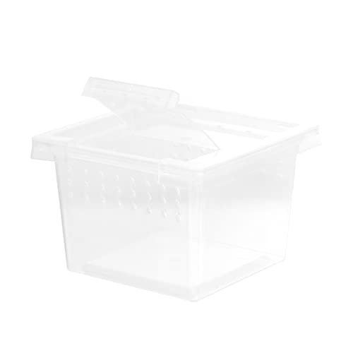 FONDOTIN Reptilien Zuchtbox aus Kunststoff Transparente Aufzuchtbehälter mit Lüftungsöffnungen für Sichere Tierhaltung für Geckos Spinnen Eidechsen FONDOTIN Reptilien Zuchtbox aus Kunststoff Transparente Aufzuchtbehälter mit Lüftungsöffnungen für Sichere Tierhaltung für Geckos Spinnen Eidechsen von FONDOTIN