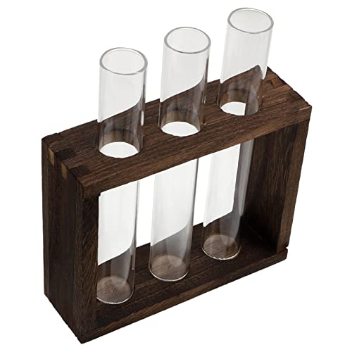 FONDOTIN Luftpflanze Terrarium Glasvase Reagenzglas Blumentopf Home Glas Hydrokultur Pflanzer Für Housewarming FONDOTIN Luftpflanze Terrarium Glasvase Reagenzglas Blumentopf Home Glas Hydrokultur Pflanzer Für Housewarming von FONDOTIN