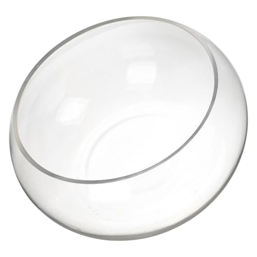 FONDOTIN Runde Glasfischschale Hydroponische Pflanzschale Dekorative Glaskugel Für Tischdeko Transparentes Design Für Fische Und Pflanzen Für Wohnzimmer Und Büro FONDOTIN Runde Glasfischschale Hydroponische Pflanzschale Dekorative Glaskugel Für Tischdeko Transparentes Design Für Fische Und Pflanzen Für Wohnzimmer Und Büro von FONDOTIN