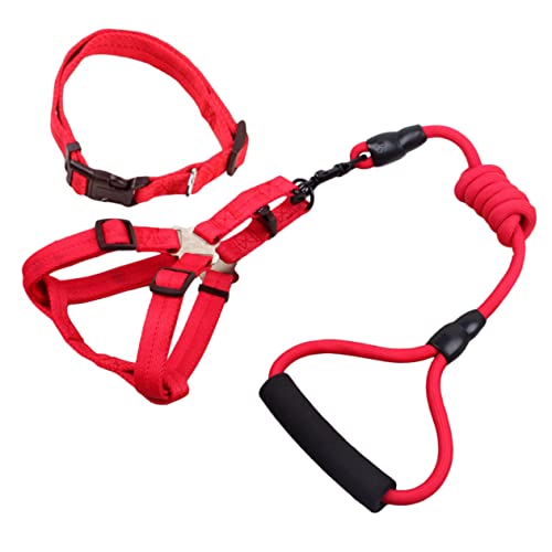 FONDOTIN Hundetrainer-Halsband-Set Haustier- Und Leinen-Set 2 4 M Lange Leine Zum Spazierengehen Mit Haustieren Bequemer Griff Für Bis Große von FONDOTIN