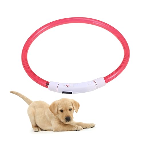FONDOTIN Katze Leuchtendes Halsband Haustier Hundehalsband USB-Halsband Für Haustiere Dropshipping Hund Leuchtendes Halsband USB-Kragen Nacht Hundehalsband Scheinen Haustierzubehör Der Hund von FONDOTIN