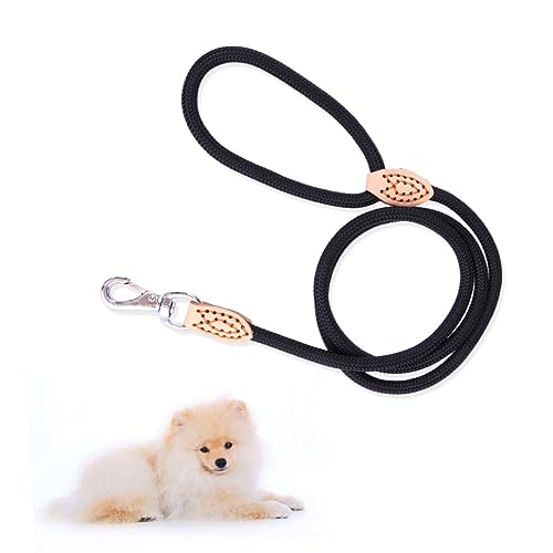 FONDOTIN Robuste Hundeleine Nylon-Trainingsleine mit stabilem Metallverschluss 1 cm breit 1 25 Zoll Schwarz für aktive Hunde FONDOTIN Robuste Hundeleine Nylon-Trainingsleine mit stabilem Metallverschluss 1 cm breit 1 25 Zoll Schwarz für aktive Hunde von FONDOTIN