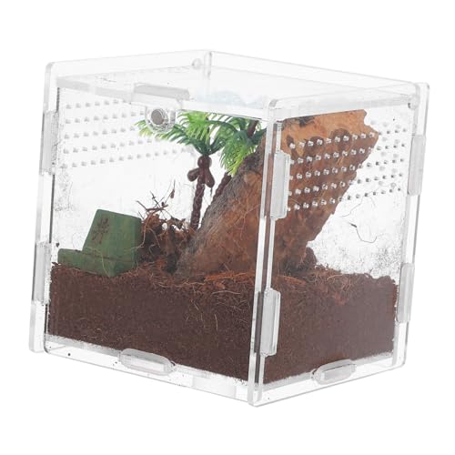 FONDOTIN Springspinne Terrarium Transparente Kompakte Zuchtbox für Kleine Reptilien und Insekten Fluchtgesicherter Lebensraum aus für Zuhause oder Büro von FONDOTIN