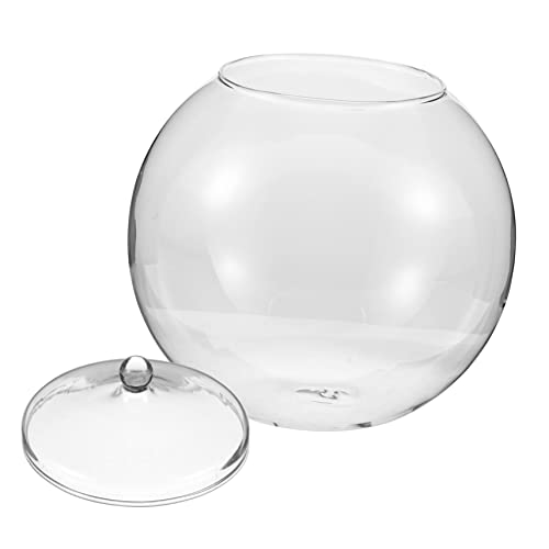 FONDOTIN Terrarium mit DIY Mikrolandschaftsflasche Transparente Vase für Pflanzen und Moos für Raumdekoration und Arrangements von FONDOTIN