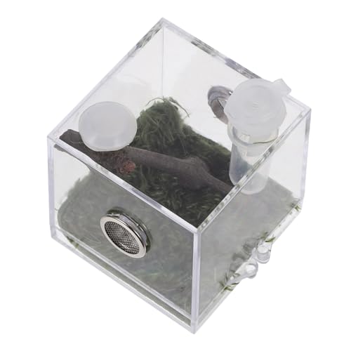 FONDOTIN Transparentes Habitat Für Spinnen -Spinnen-acryl Fütterungsbox Geeignet Für Kleine Insekten Und Einfache Beobachtung Und Pflege Praktisch Für Reptilienliebhaber von FONDOTIN