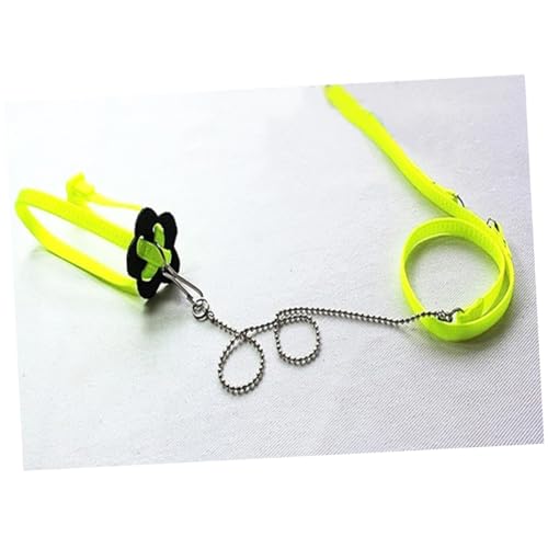 FONDOTIN Leine Für Reptilien Und Eidechsen 40 cm Länge 80 cm Leine 1 2 M Fluoreszierendes Grün Für Im Freien FONDOTIN Leine Für Reptilien Und Eidechsen 40 cm Länge 80 cm Leine 1 2 M Fluoreszierendes Grün Für Im Freien von FONDOTIN
