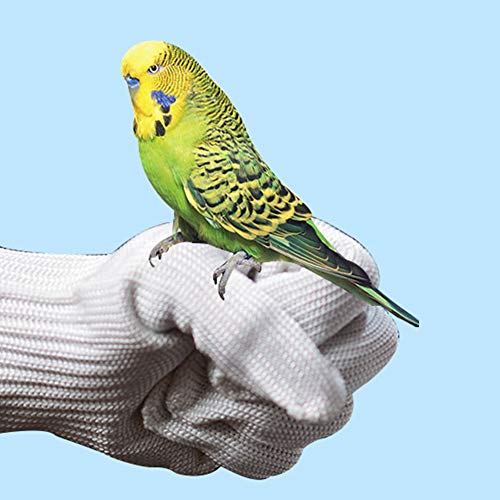 FONDUO Bissfeste Handschuhe Papagei, Anti-Biss Tierhandschuhe, Arbeitshandschuhe aus Polyestergarn und Stahldraht für Kleintier, Papageien-Vogel-Training, Garten Handschuhe Schnittfest (Weiß) von FONDUO