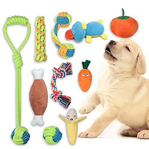 FONPOO Welpenspielzeug eine Kombination aus Fruchtigem Gemüse und Hundeseilspielzeug 10-Teiliges Set Plüsch-Hunde Pielzeug das als Hundegeschenk Verwendet Werden Kann (Obst und Gemüse, 10er-Set) von FONPOO