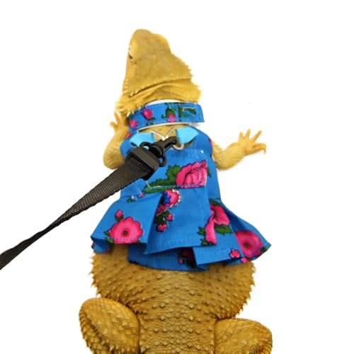 Bart-Drachenrock-Geschirr-Set, verstellbare Weste, Traktionsseil, niedliche Flora, Kleidung für Kleintiere, Repitle, Eidechse, Gecko, Leguan, Chamäleon (Blau, L) von FORZENA