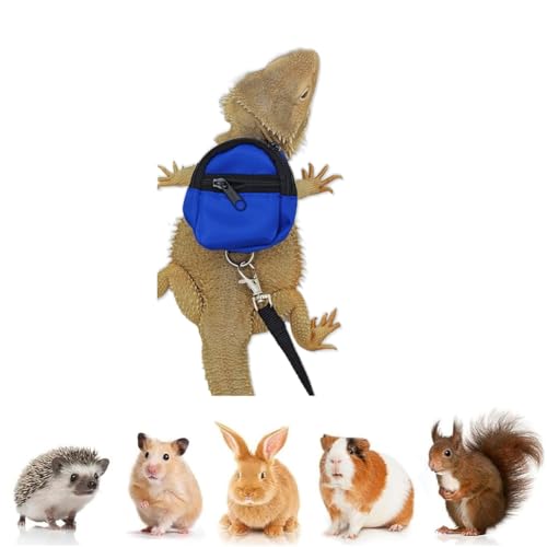 Bearded Dragons Geschirr-Leinen-Set, niedlicher Rucksack, Schulanfang, Design für kleine Haustiere, Reptilien, Eidechsen, Gecko, Chamäleon, Ratte, Hamster, Quadrat, Frettchen, Fotoshooting, Blau Bearded Dragons Geschirr-Leinen-Set, niedlicher Rucksack, Schulanfang, Design für kleine Haustiere, Reptilien, Eidechsen, Gecko, Chamäleon, Ratte, Hamster, Quadrat, Frettchen, Fotoshooting, Blau von FORZENA