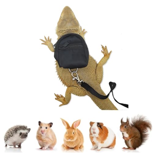 Bearded Dragons Geschirr-Leinen-Set, niedlicher Rucksack, Schulanfang, Design für kleine Haustiere, Reptilien, Eidechsen, Gecko, Chamäleon, Ratte, Hamster, Quadrat, Frettchen, Fotoshooting, Schwarz Bearded Dragons Geschirr-Leinen-Set, niedlicher Rucksack, Schulanfang, Design für kleine Haustiere, Reptilien, Eidechsen, Gecko, Chamäleon, Ratte, Hamster, Quadrat, Frettchen, Fotoshooting, Schwarz von FORZENA