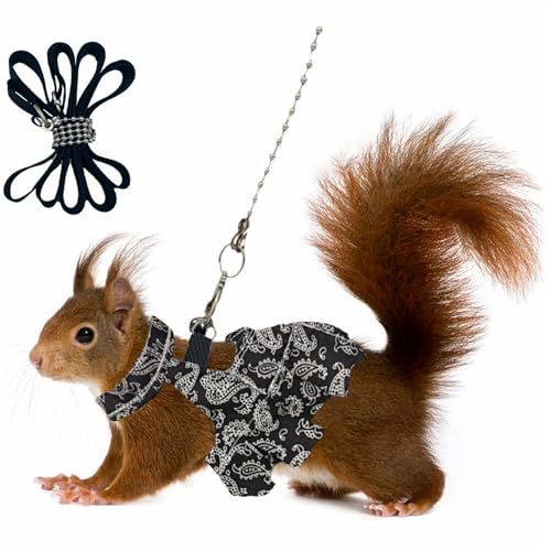Eichhörnchen-Rock-Geschirr, Leine, Frettchen-Weste, verstellbarer Traktionsseil, niedliches Blumenmuster, Kleidung für kleine Kätzchen, Zwerg, Chinchilla, Meerschweinchen, ausgefallene Ratte (Schwarz, Eichhörnchen-Rock-Geschirr, Leine, Frettchen-Weste, verstellbarer Traktionsseil, niedliches Blumenmuster, Kleidung für kleine Kätzchen, Zwerg, Chinchilla, Meerschweinchen, ausgefallene Ratte (Schwarz, von FORZENA