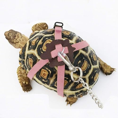Verstellbares Schildkrötengeschirr-Leinen, weiches Leder, für Schildkröten, Haustiere, Spaziergänge, Führungsseil, Brustkragen, Leine für Schildkrötenbedarf, Größe M, Rosa Verstellbares Schildkrötengeschirr-Leinen, weiches Leder, für Schildkröten, Haustiere, Spaziergänge, Führungsseil, Brustkragen, Leine für Schildkrötenbedarf, Größe M, Rosa von FORZENA