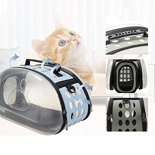 FOReverweihuajz Dog Cat Portable Folding Transparente Handtasche Träger Pet Putty Shoulder Travel Atmungsaktive Tragetasche Blau L.None von FOReverweihuajz