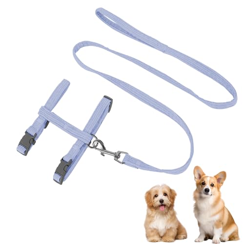 FOSDICK Hundeleine Kleine Hunde Leicht, Hundeleine zum Umhängen, Robuste Hundeleine, Welpenleine, Schleppleine für Kleine Hunde, Mittelgroße (Blau) von FOSDICK