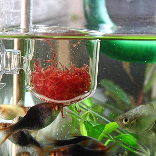 Super weißer Tank Saugnapf Red Worm Feeding Cup, Aquarium Feeder, für kleine Tropische Fische für Wasserwürmer(Glass Gap Cup) von FOTABPYTI