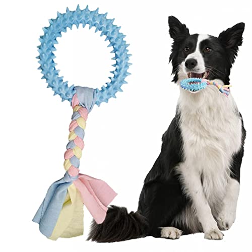 FOUNCY Kauspielzeug-Ring | Kaubares Hundespielzeug aus | Quietschendes -Quietschspielzeug für Hunde, rundes Hundespielzeug zum Reinigen, für Haustiere, Hunde, Welpen von FOUNCY