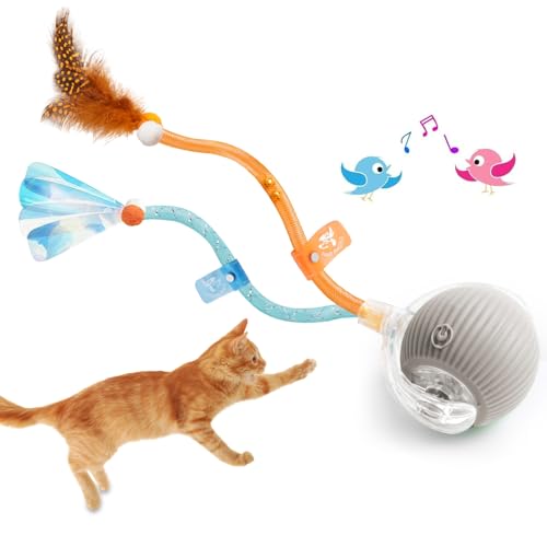 FOUR ANGELS Interaktives Katzenspielzeug für Hauskatzen (Grau) von FOUR ANGELS