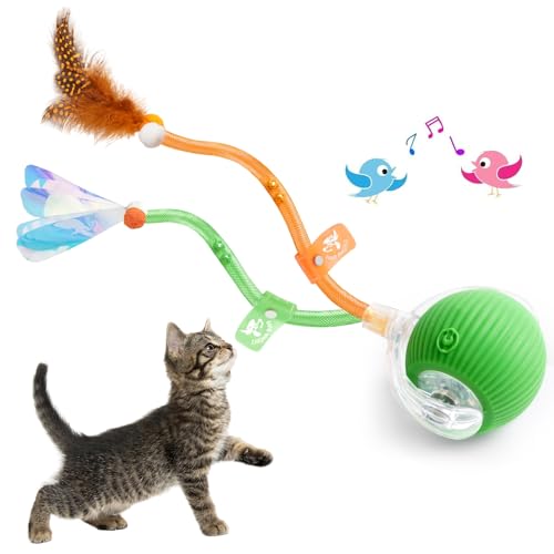 FOUR ANGELS Interaktives Katzenspielzeug für Indoor-Katzen (grün) von FOUR ANGELS