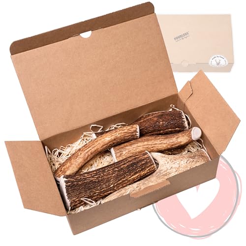 FOURLEGS® natürlicher Kausnack für Hunde aus 100% Hirschgeweih - Mineralstoffe, Kauspielzeug, Kaustange, Wildgeschmack, Geweih, Knochen, Hirsch, Kauartikel - Größe XL ganz Sparpaket (5 Stück) von FOURLEGS