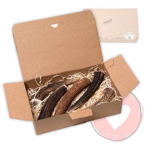 FOURLEGS® natürlicher Kausnack für Hunde aus 100% Hirschgeweih - Mineralstoffe, Kauspielzeug, Kaustange, Wildgeschmack, Geweih, Knochen, Hirsch, Kauartikel - Größe L ganz Sparpaket (5 Stück) von FOURLEGS