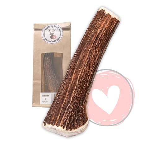 FOURLEGS® natürlicher Kausnack für Hunde aus 100% Hirschgeweih - Mineralstoffe, Kauspielzeug, Kaustange, Wildgeschmack, Geweih, Knochen, Hirsch, Kauartikel - Größe L ganz von FOURLEGS