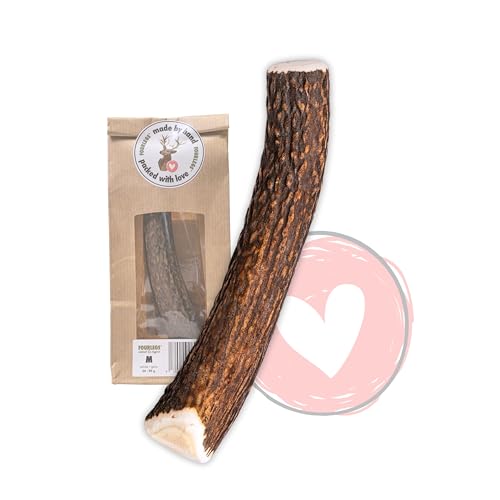 FOURLEGS® natürlicher Kausnack für Hunde aus 100% Hirschgeweih - Mineralstoffe, Kauspielzeug, Kaustange, Wildgeschmack, Geweih, Knochen, Hirsch, Kauartikel - Größe M ganz von FOURLEGS