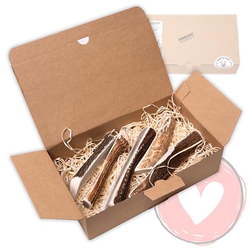 FOURLEGS® natürlicher Kausnack für Hunde aus 100% Hirschgeweih - Mineralstoffe, Kauspielzeug, Kaustange, Wildgeschmack, Geweih, Knochen, Hirsch, Kauartikel - Größe M halbiert Sparpaket (5 Stück) von FOURLEGS