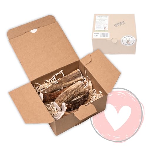FOURLEGS® natürlicher Kausnack für Hunde aus 100% Hirschgeweih - Mineralstoffe, Kauspielzeug, Kaustange, Wildgeschmack, Geweih, Knochen, Hirsch, Kauartikel - Größe S ganz Sparpaket (5 Stück) von FOURLEGS