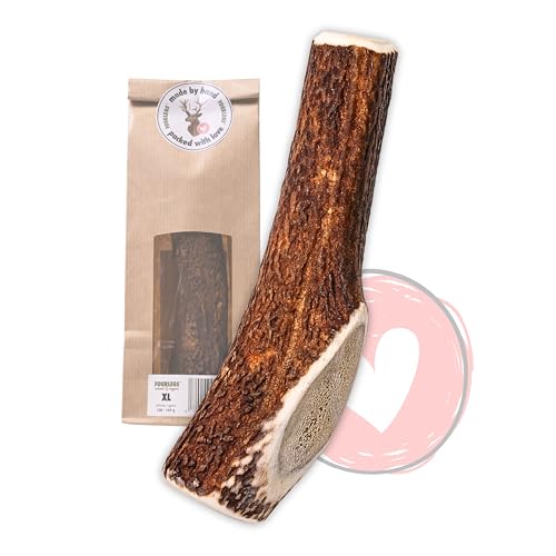 FOURLEGS® natürlicher Kausnack für Hunde aus 100% Hirschgeweih - mit Mineralstoffen, Kauspielzeug, Zahnpflege, Kaustange, Geweih, Knochen, Hirsch, Kauartikel - Größe XL ganz von FOURLEGS